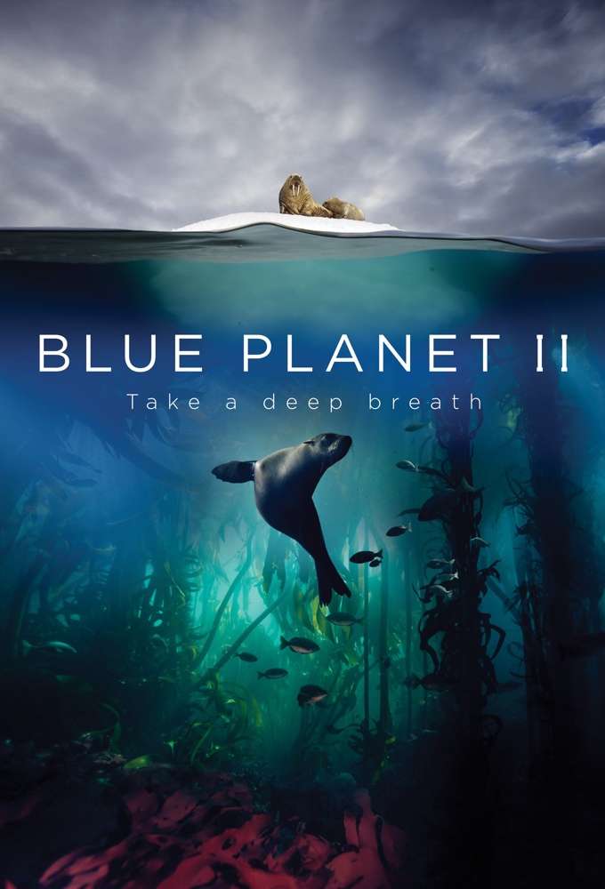 蓝色星球 The Blue Planet