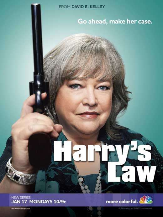 律政俏师太 Harrys Law