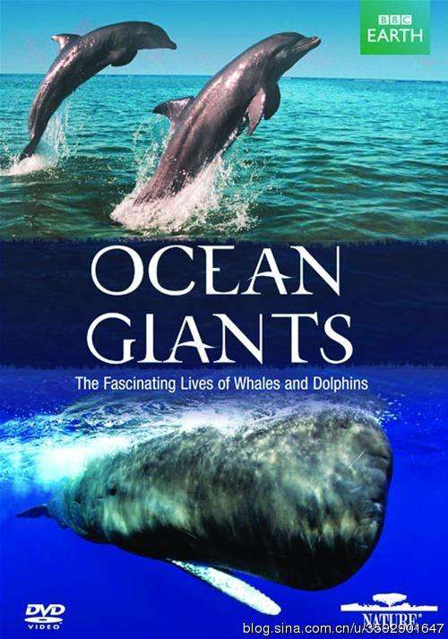 海洋巨兽 Ocean Giants